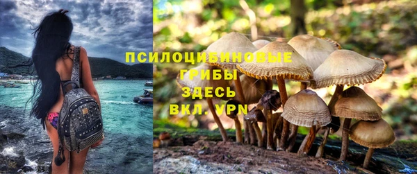 твердый Вязники