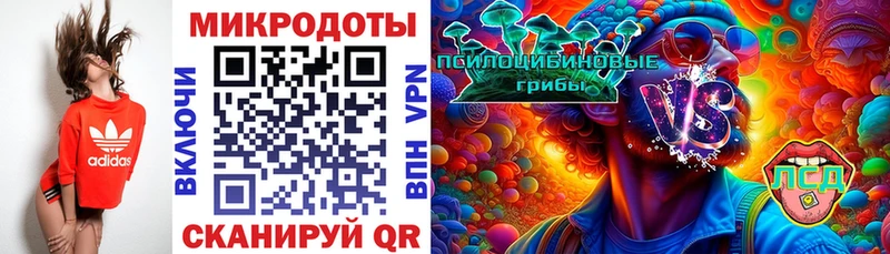 Псилоцибиновые грибы GOLDEN TEACHER  Купить где  Калач-на-Дону 
